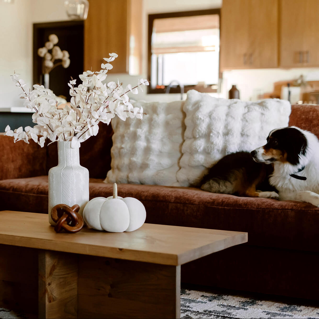 BOHO CREAM PLUSH PUMPKIN - Large