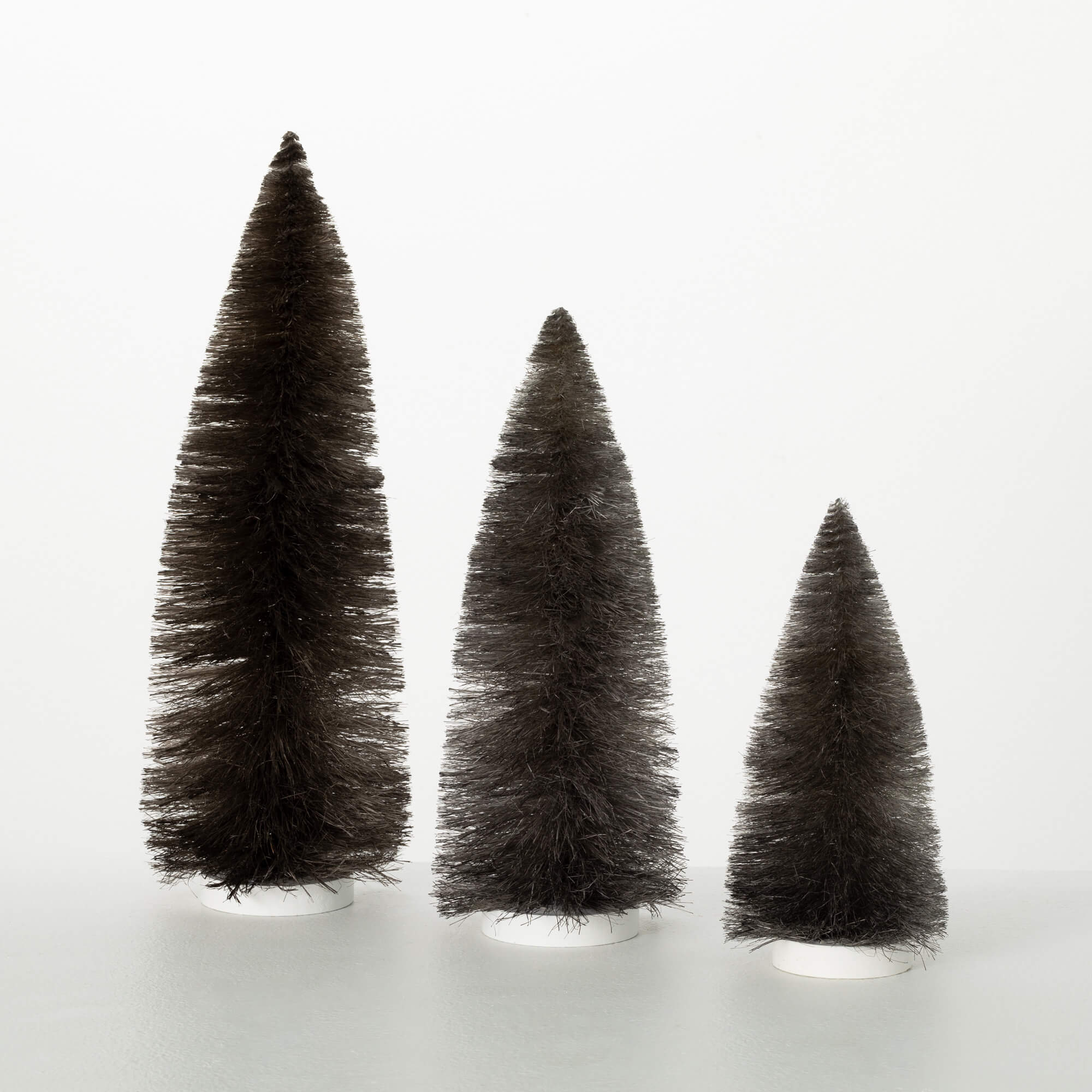 GRAY BOTTLEBRUSH TREE