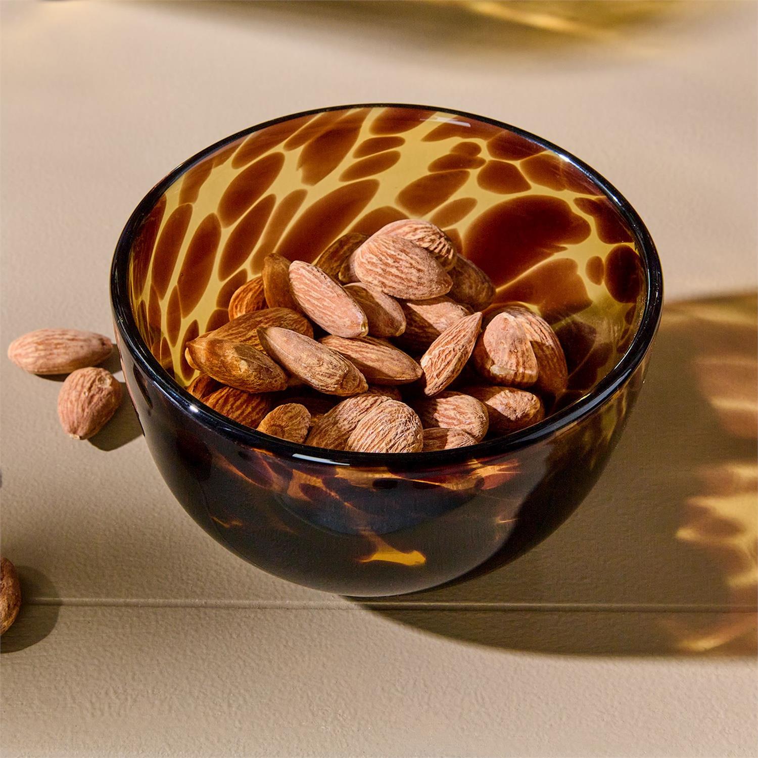 Tortoise Tidbit Glass Bowl, s/2