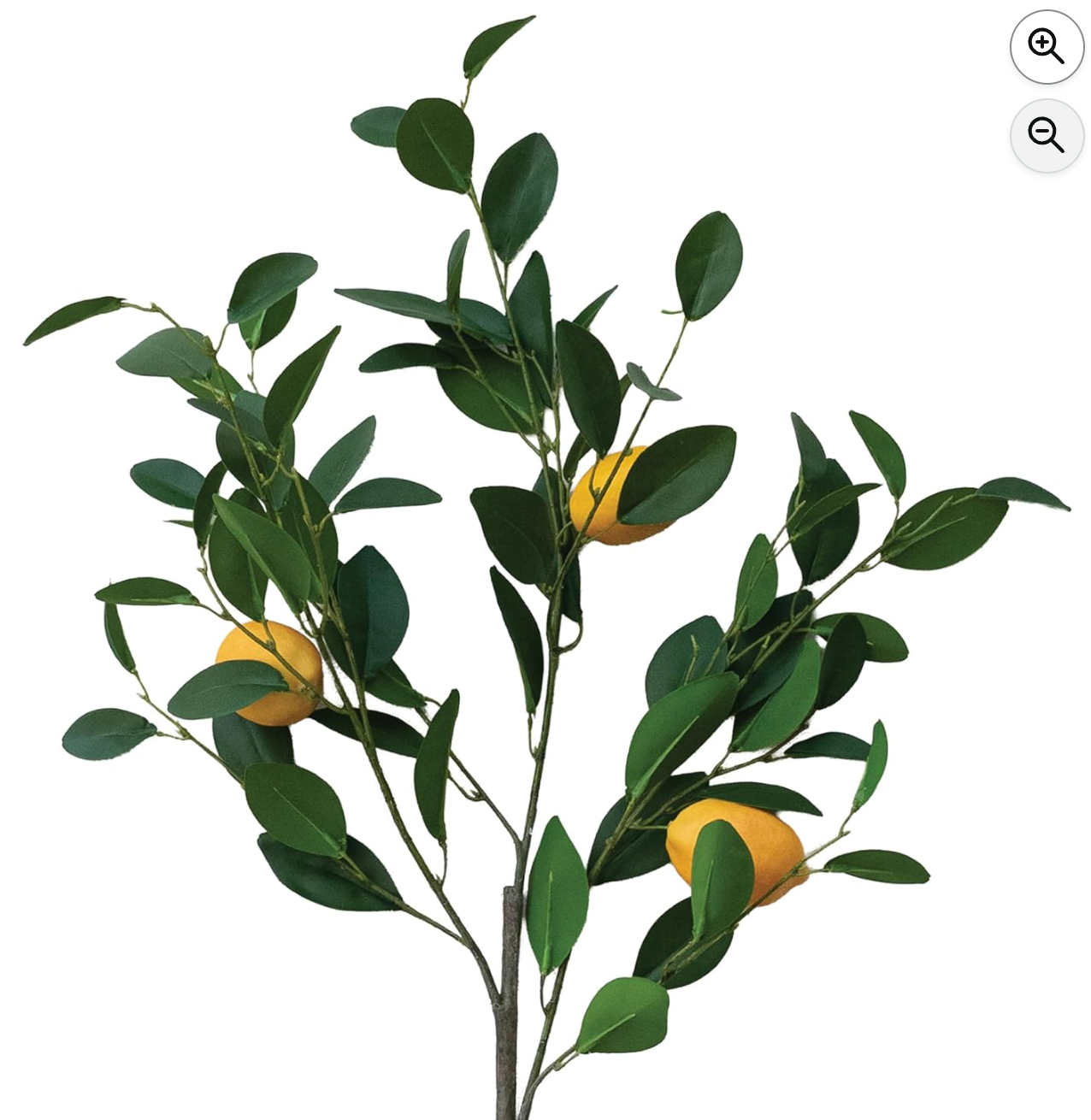 Lemon Tree Branch, s/3