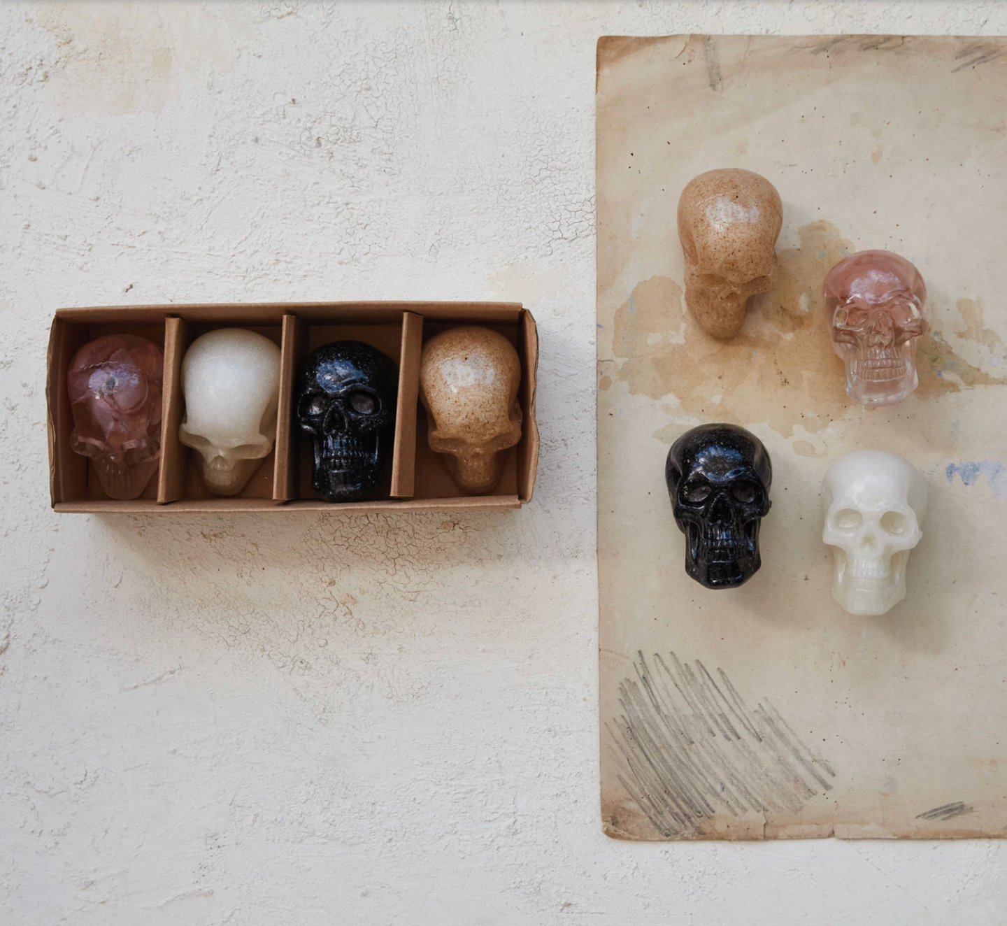 Resin Skulls | s/4