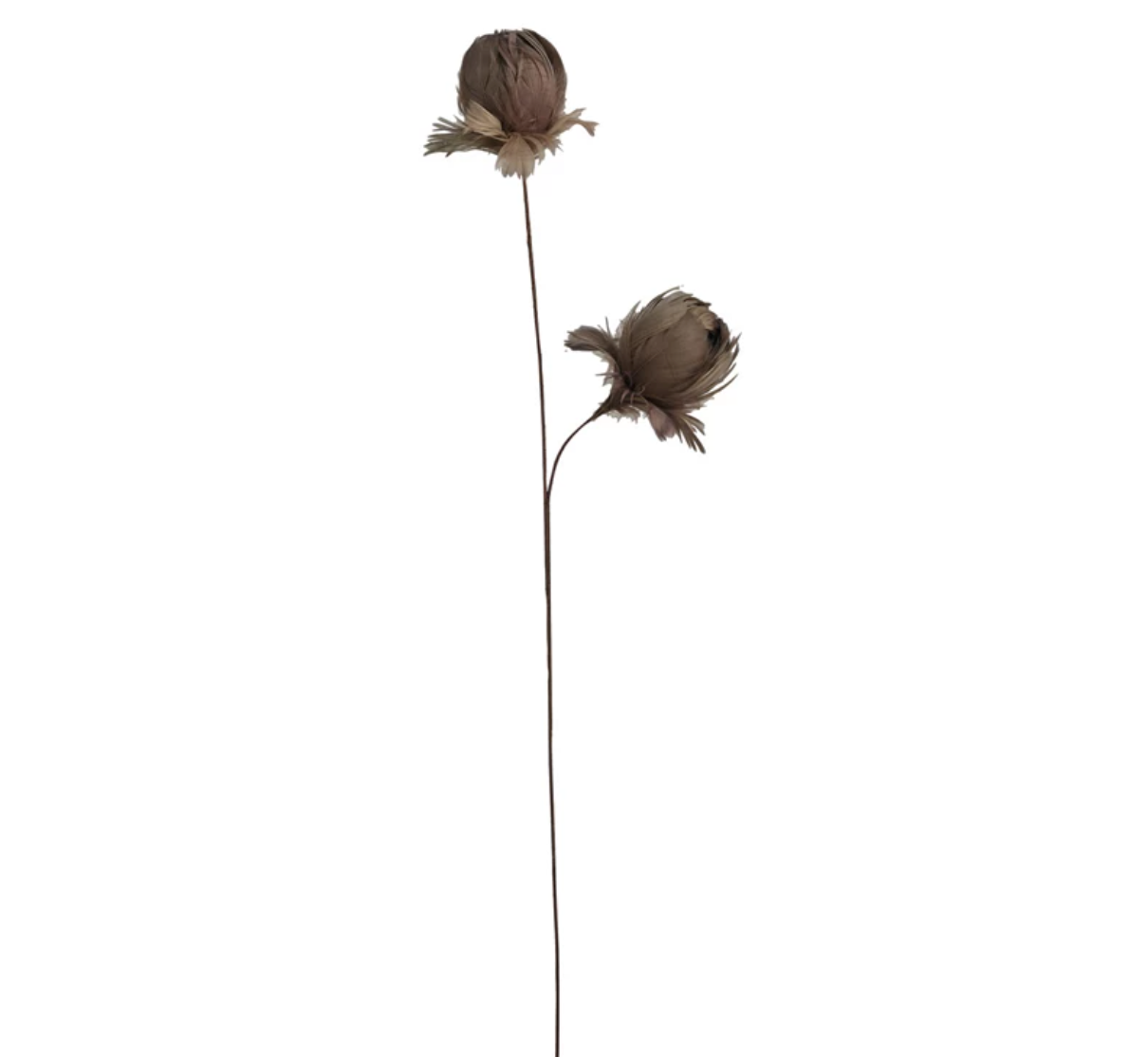 Feather Flower Stem, s/3 stems