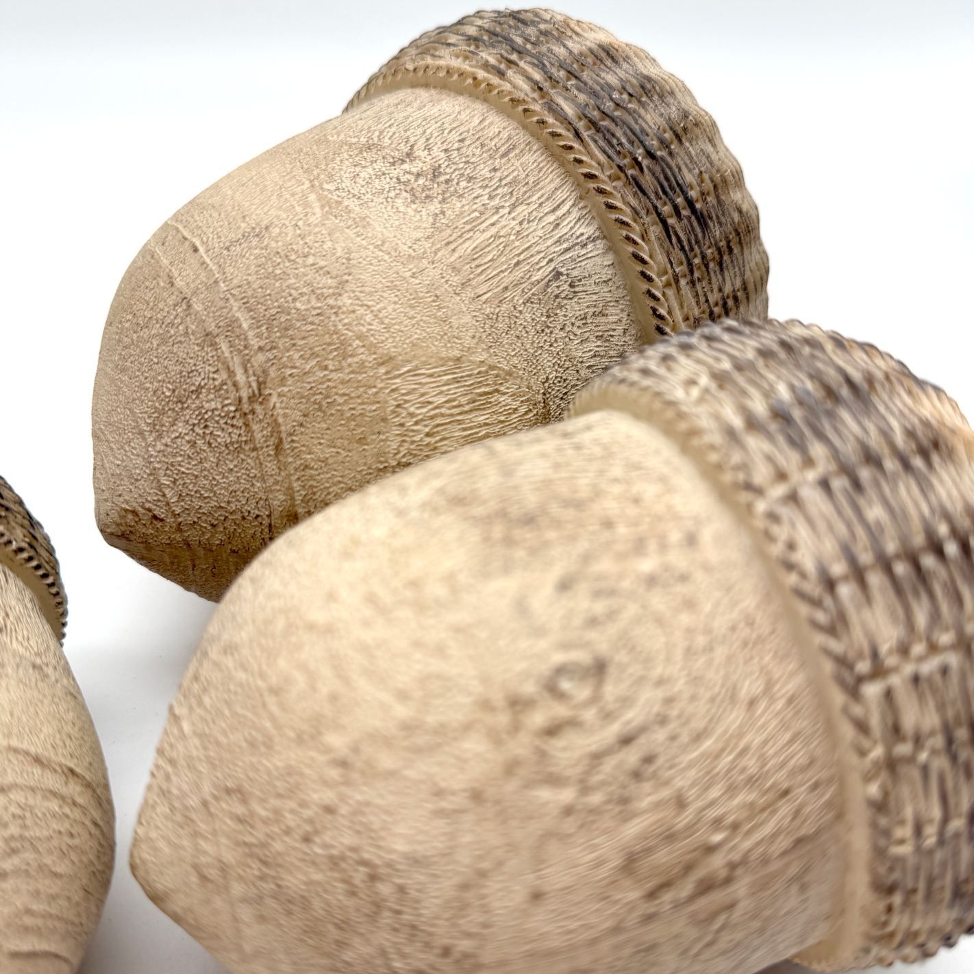 RESIN ACORN