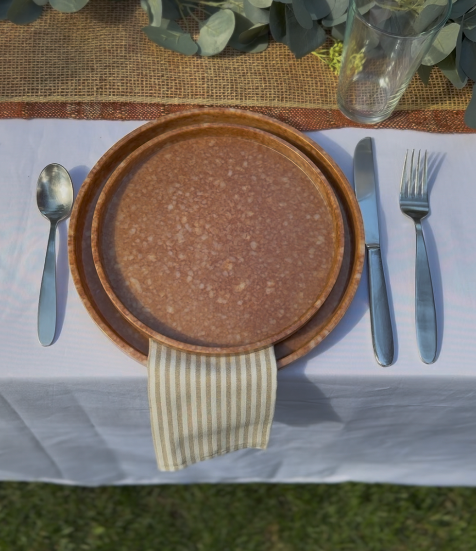 Terracotta Melamine Dinner Plates, s/4