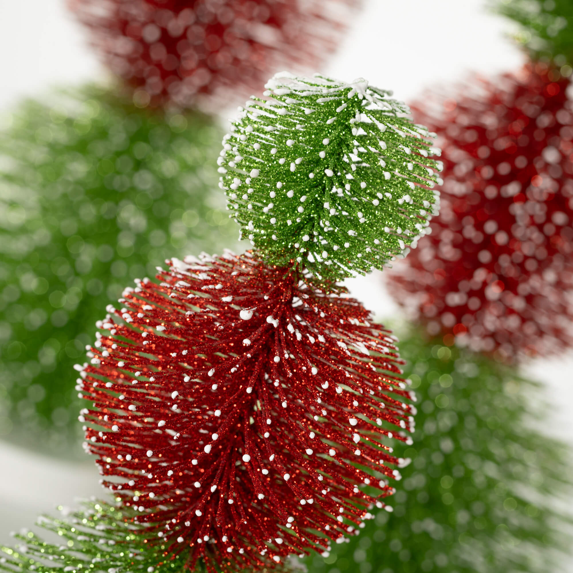 Bottle Brush Tree red-green